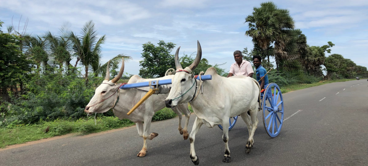 Chettinad – A Region in its Own