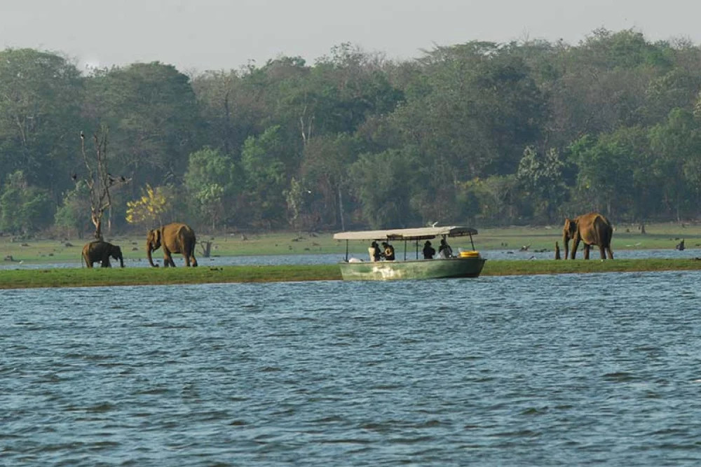 Discover Malabar and Kabini's Natural Wonders