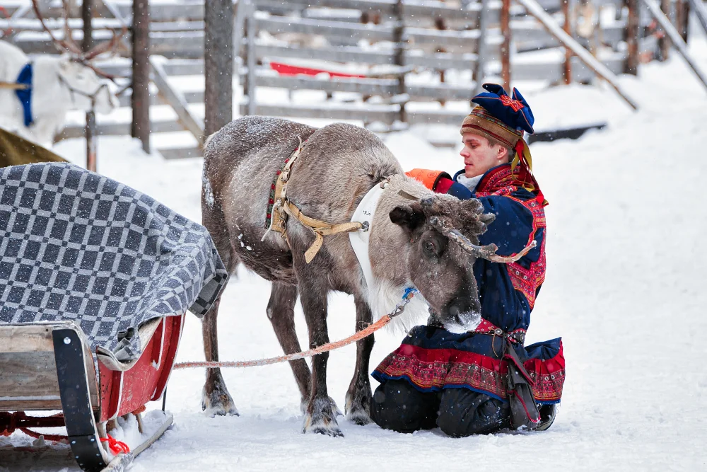 Reindeer Sledding at Camp Tamok