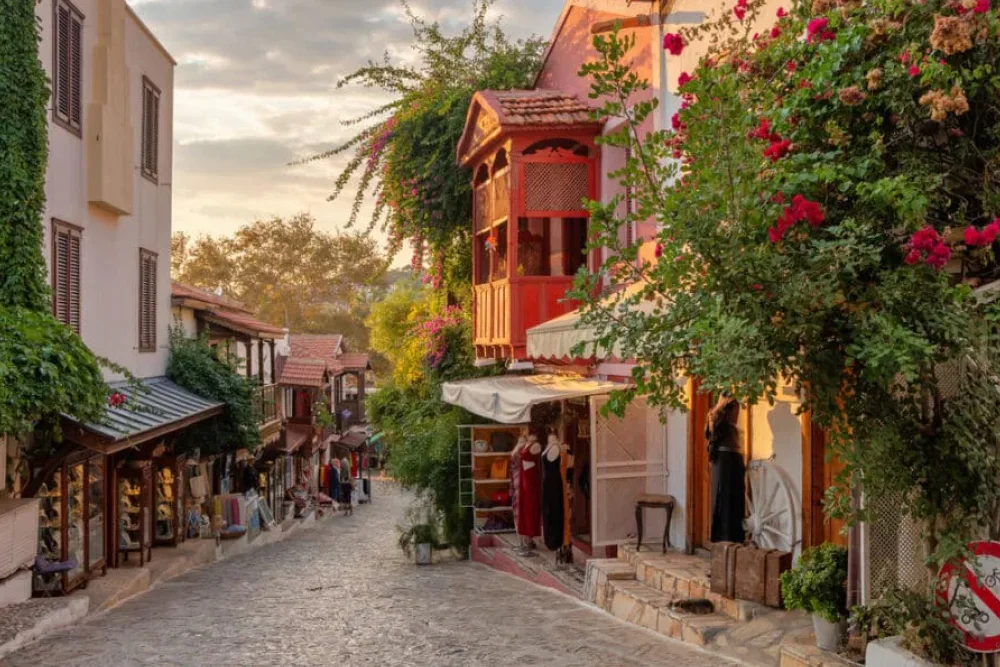 The bougainvillea of Kas