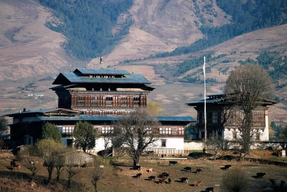 Ogyen Choling Museum