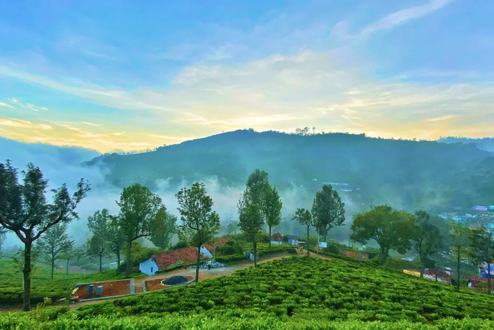 Picturesque Hill Stations in South India