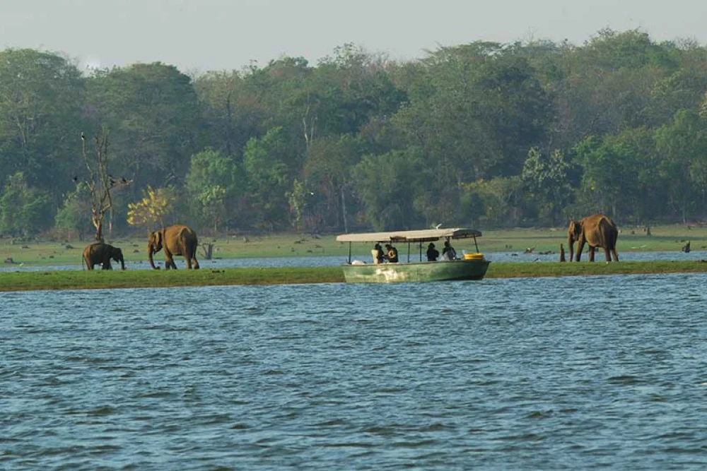 Kabini: Wildlife and Serenity