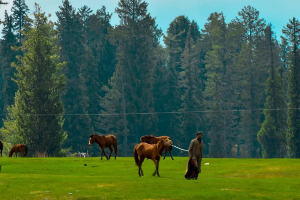 Kashmir: Paradise on Earth